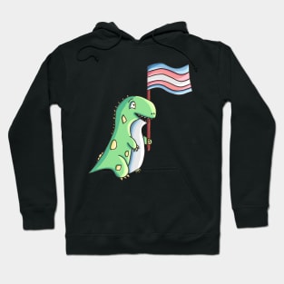 T-Rex For Trans Rights Funny Trans Pride Design Hoodie